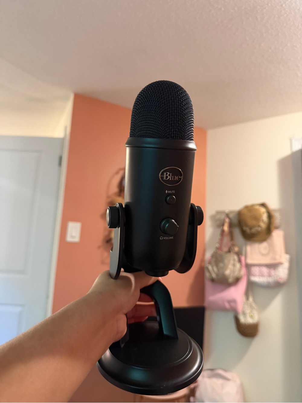 Blue yeti microphone